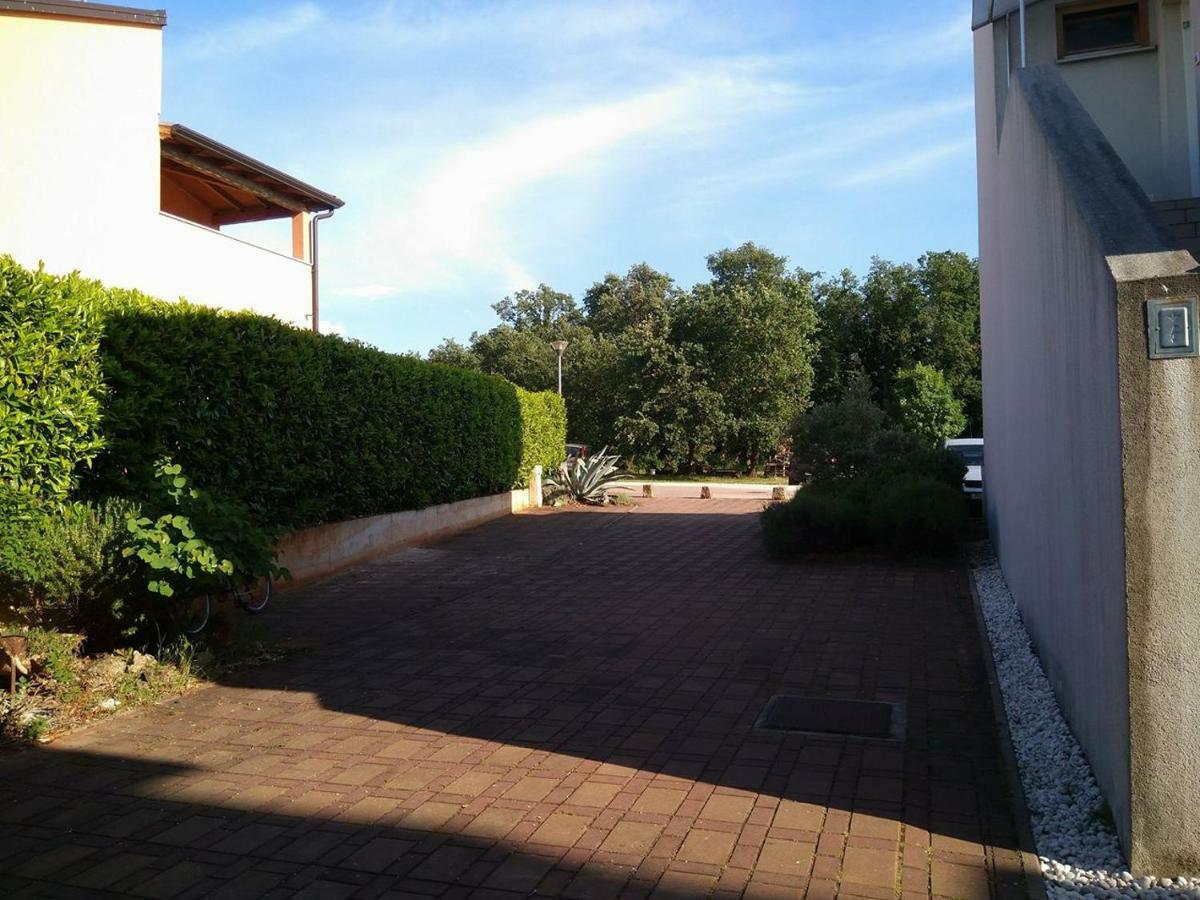 דירות Novigrad Istria Medo מראה חיצוני תמונה