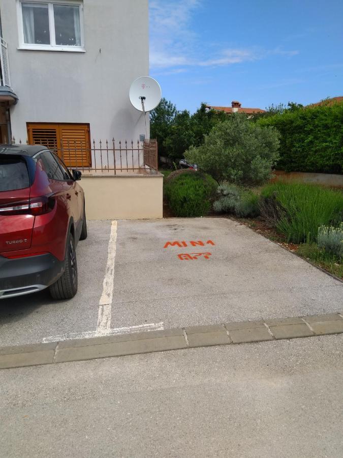 דירות Novigrad Istria Medo מראה חיצוני תמונה