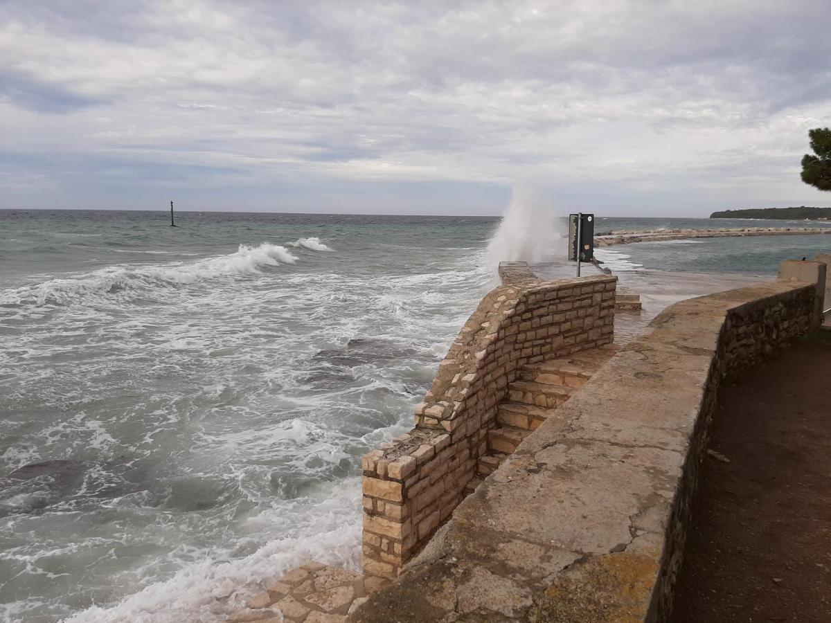 דירות Novigrad Istria Medo מראה חיצוני תמונה